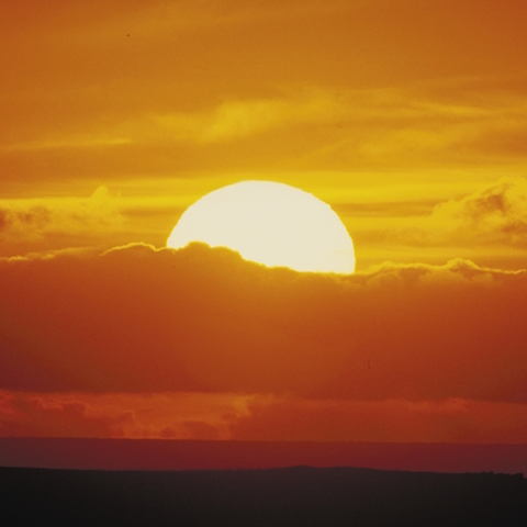 thumbnail Sol